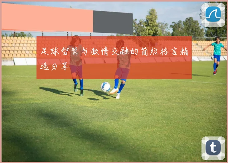 足球智慧与激情交融的简短格言精选分享